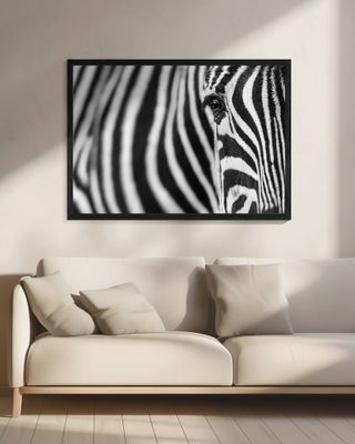 Zebra stripes
