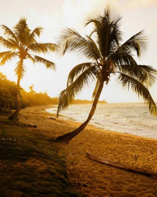 Postcard from Isabela