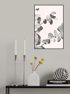 Eucalyptus Creative 14