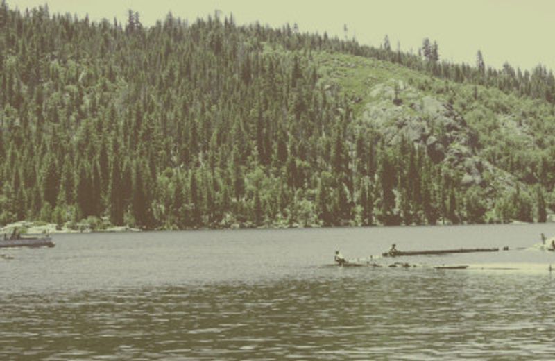 Vintage Lake Life II