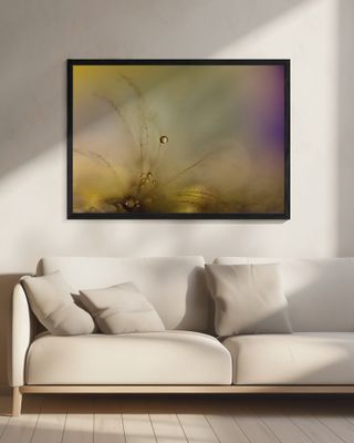 Feeling of a new day