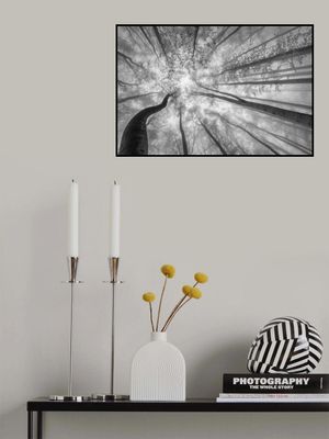 Spring crown of trees