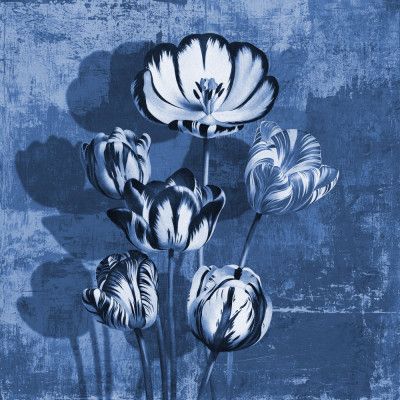 Tulips   Shades of Blue
