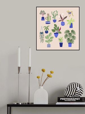 Houseplants Cacti and Succulents On Blush Pink