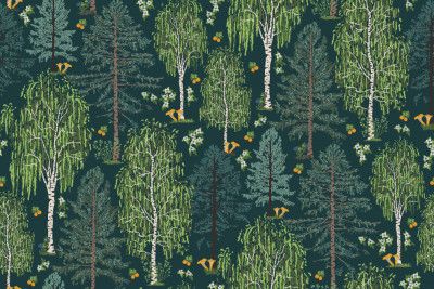 Scandinavian Boreal Forest