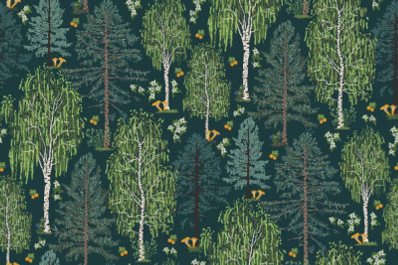 Scandinavian Boreal Forest