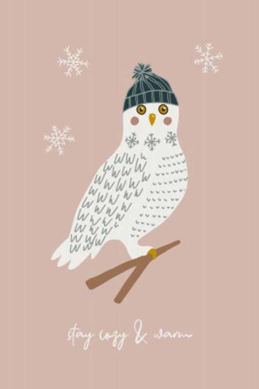 Cozy Owls Powder Pink