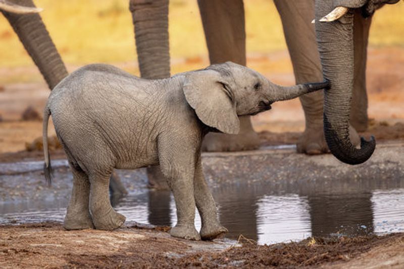 Play with me, please!