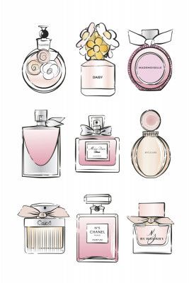 Fragrance Collection