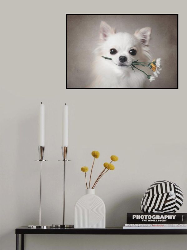 Chihuahua with flowers