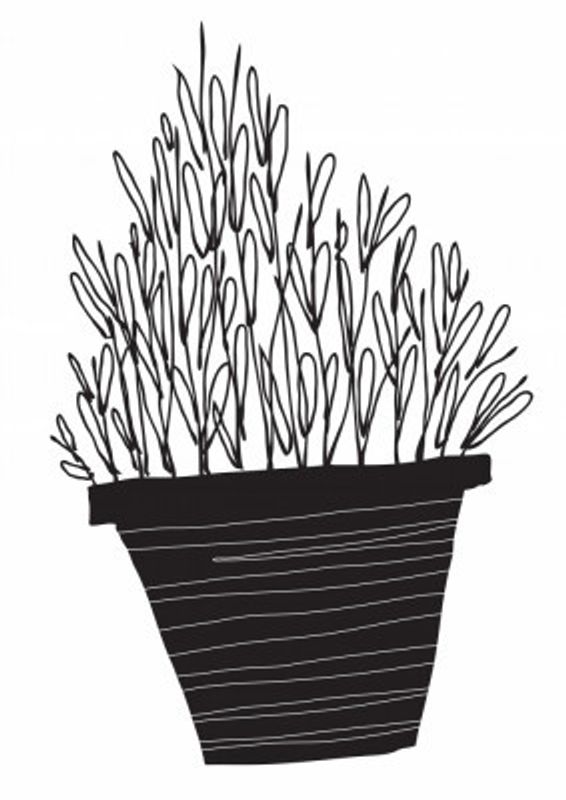 Vase With Abstract Daisy Flowers