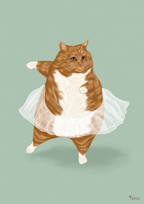 Ballet Cat - 'I can do anything I dream of'