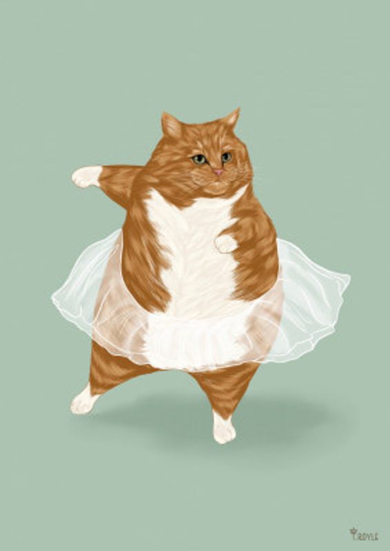 Ballet Cat - 'I can do anything I dream of'