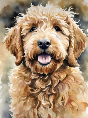 Golden Doodle Aquarell