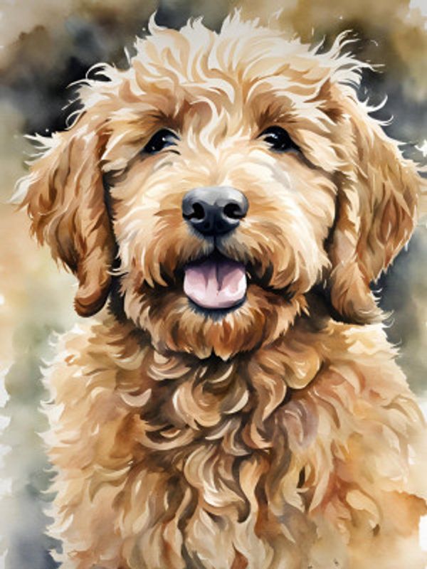 Golden Doodle Aquarell