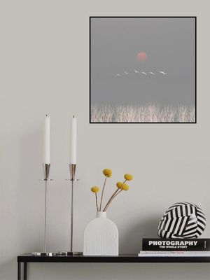 There are gods in the sky