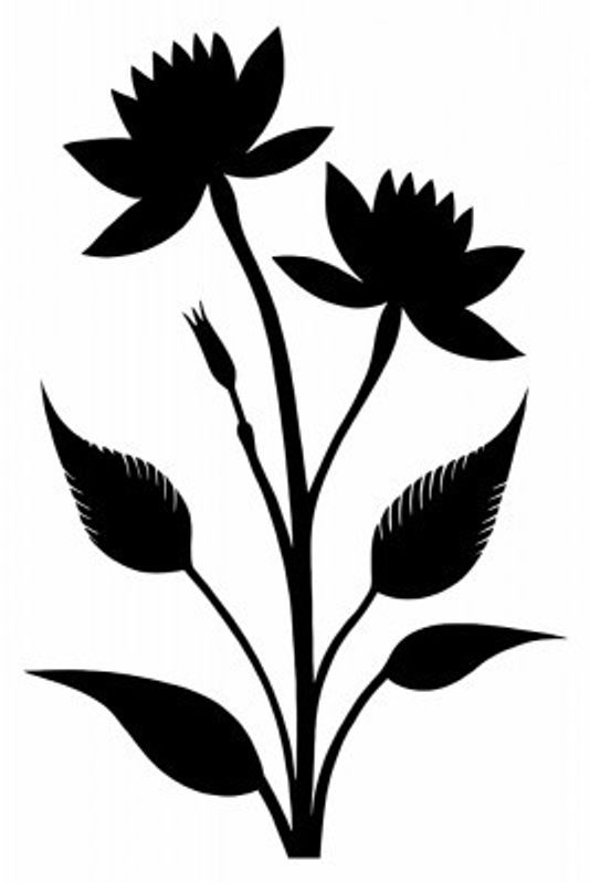 Two Prominent Flowers And Leaves