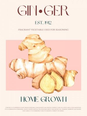 Watercolor illustration Of Ginger