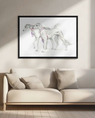 Saluki Dogs in Delicate Collars