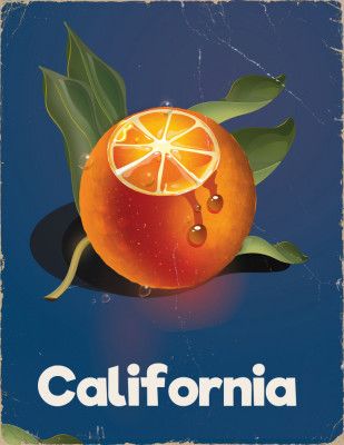 California Oranges Travel Poster