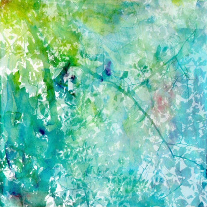 Essence of Nature with its Lush Green Hues