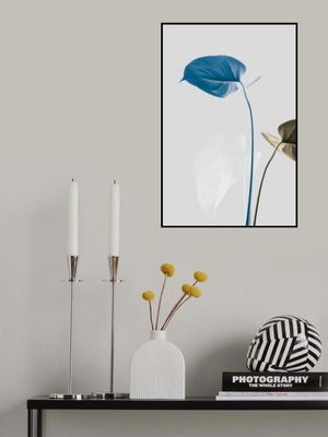 Monstera Creative 19