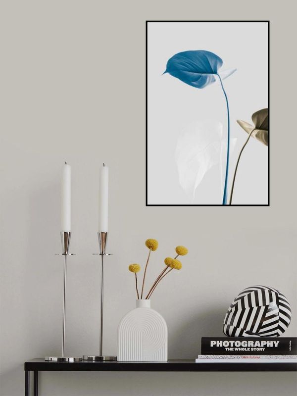 Monstera Creative 19