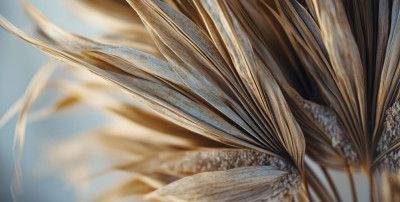 Golden Leaf Whispers