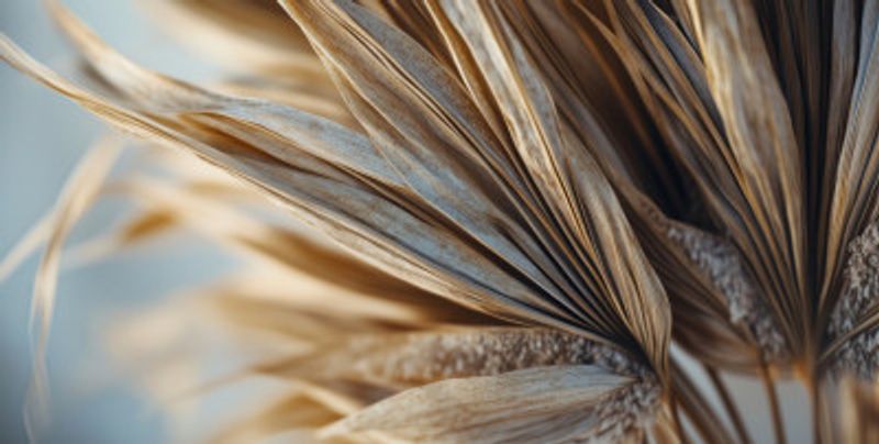 Golden Leaf Whispers