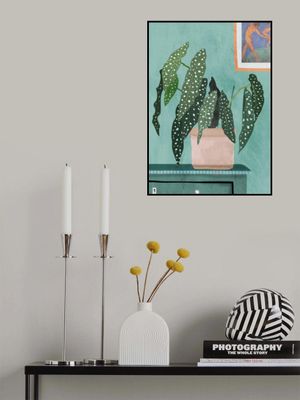 Plant with Delicate Leaves