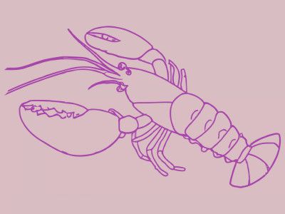 Vibrant Lobster Lines