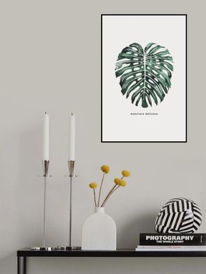 016843 Botanical Monstera Leaf