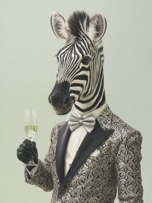 Zebra In Tuxedo Jacket