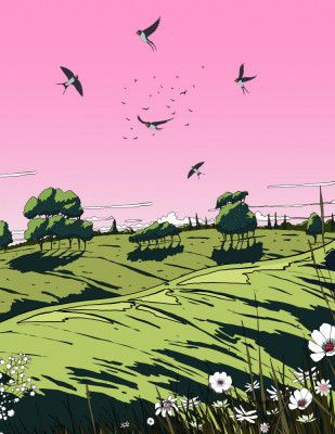 Landscape In The Summer Sunset