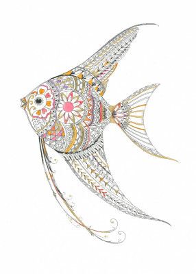 Angel Fish Delicate Tints