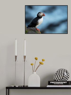 Where's the fish this time..