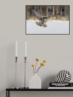 The Morning Catching