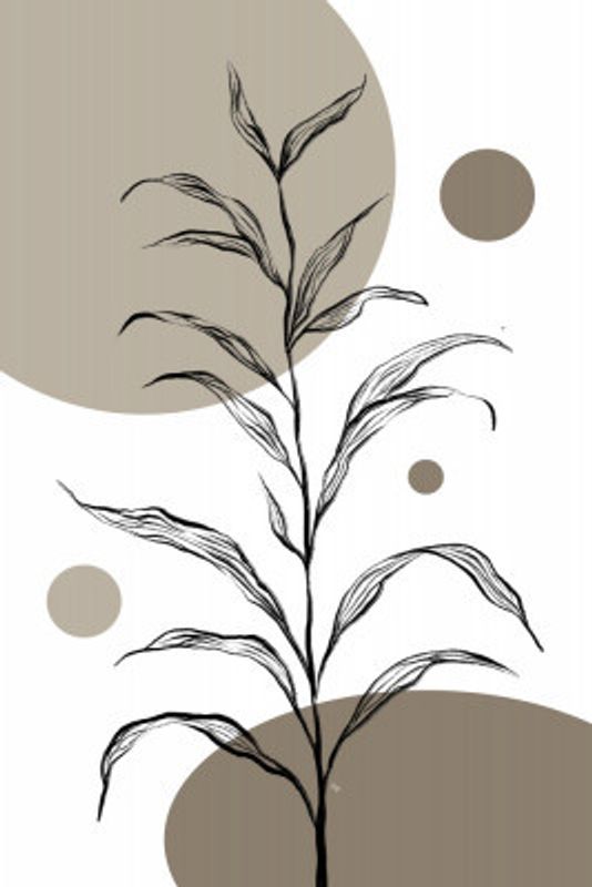 Delicate Plant Sketch with Leaves