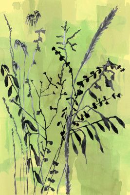 Folklore Arrangement