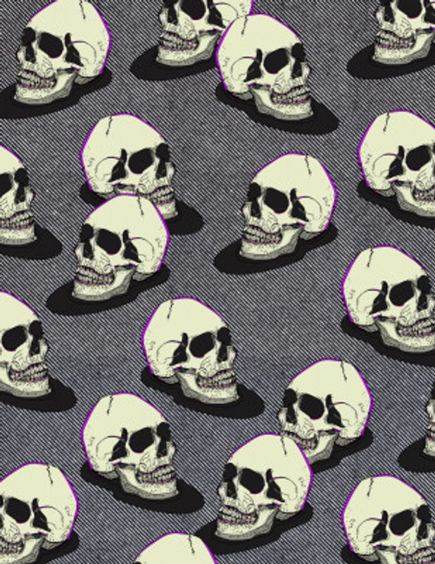 Vintage Style Skulls