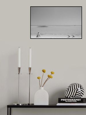 Fishy, Fishy, Fishy!