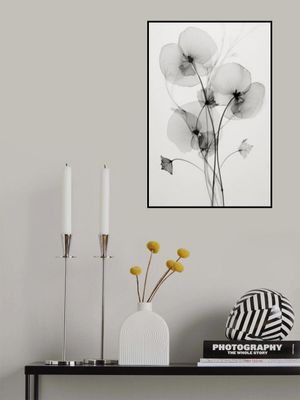 Transparent Botanic No1