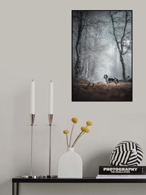 Come forth into the light of things, let Nature be your teacher." (William Wordsworth)