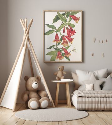 Crossvine From North American Wildflowers (1925) By Mary Vaux Walcott