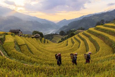 Richfield in Shang Nu