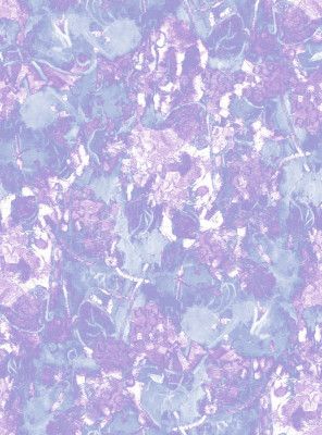 Repeatpat Hydrangea2a