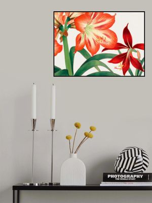 Vintage Amaryllis Flower No.2