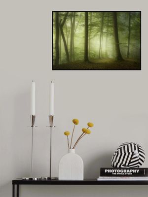 Mysterious Spring Morning