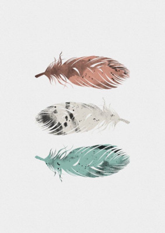 Pastel Feathers