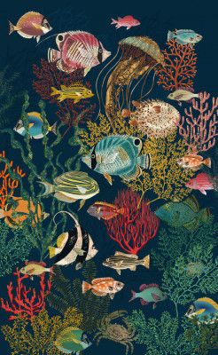 coral reef deep silence dark teal